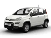 Usata Fiat Panda 70 CV (51 kW) 2024 Bianco Utilitaria