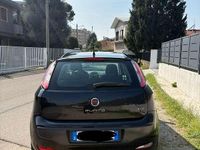 Usata Fiat Punto Evo Active 75 CV (55 kW) 2010 Utilitaria