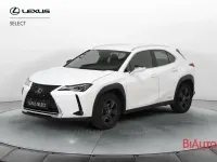 Usado Lexus UX 250h Executive Line 184 CV (135 kW) 2022 Blanco SUV