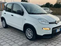 Usata Fiat Panda S 69 CV (50 kW) 2022 Bianco Utilitaria