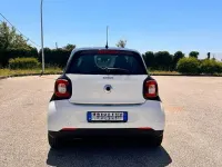Usata Smart ForFour 71 CV (52 kW) 2017 Bianco Utilitaria