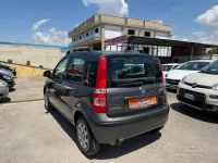 Usata Fiat Panda 60 CV (44 kW) 2010 Grigio Utilitaria