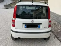 Usata Fiat Panda Active 77 CV (56 kW) 2012 Bianco Utilitaria
