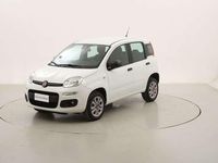 Usata Fiat Panda Easy 86 CV (63 kW) 2018 Bianco Utilitaria