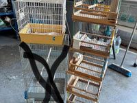 Usata Fiat Panda Young 1999 Bianco Utilitaria