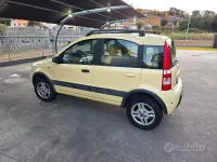 Usata Fiat Panda 4x4 Climbing 60 CV (44 kW) 2005 Giallo Utilitaria