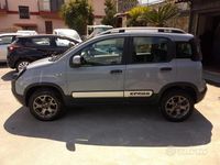 Usata Fiat Panda Cross Cross 85 CV (62 kW) 2018 Argento Utilitaria