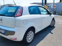 Usata Fiat Punto Evo Dynamic 65 CV (47 kW) 2010 Bianco Utilitaria