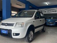 Usata Fiat Panda 4x4 Climbing 75 CV (55 kW) 2009 Bianco Utilitaria