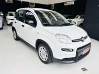 Usata Fiat Panda S 69 CV (50 kW) 2024 Bianco Utilitaria