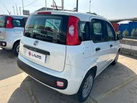 usata Fiat Panda 1.2 Easy