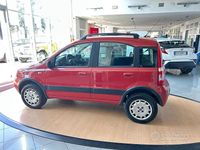 Usata Fiat Panda 4x4 Climbing 60 CV (44 kW) 2007 Rosso Utilitaria