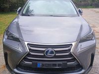 Usata Lexus NX300h Executive Line 155 CV (114 kW) 2014 SUV