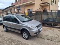 Usata Fiat Panda 4x4 Climbing 69 CV (50 kW) 2006 Argento Utilitaria