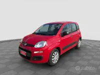 Usata Fiat Panda Easy 95 CV (69 kW) 2016 Rosso Utilitaria