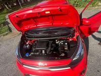 Usata Kia Picanto MY23 101 CV (74 kW) 2022 Rosso Utilitaria
