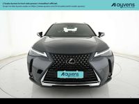 Usata Lexus UX 250h 145 CV (106 kW) 2024 Grigio SUV