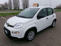 Usata Fiat Panda S 69 CV (50 kW) 2023 Bianco Utilitaria