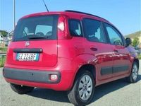 usata Fiat Panda 1.2 EasyPower Easy usato