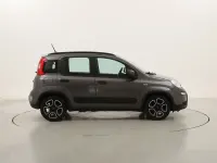 Usata Fiat Panda City Life 70 CV (51 kW) 2022 Grigiogrigio Utilitaria