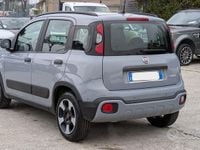 Usata Fiat Panda Cross Cross 70 CV (51 kW) 2021 Grigio Utilitaria
