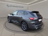 Usata Ford Kuga ST-Line X 190 CV (139 kW) 2022 Grigio SUV