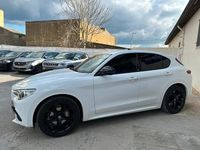 Usata Alfa Romeo Stelvio Super 160 CV (117 kW) 2020 Bianco SUV