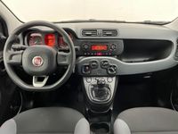 usata Fiat Panda 1.2 Pop del 2017 usata a Lurate Caccivio