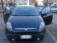 Usata Fiat Punto Evo 69 CV (50 kW) 2012 Utilitaria