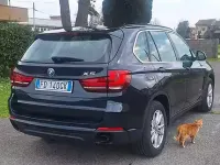 Occasion BMW X5 231 ch (169 kW) 2016 Bleue SUV