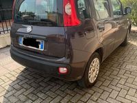 usata Fiat Panda Panda 1.2 Easy