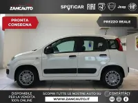 Nuova Fiat Panda Pop 70 CV (51 kW) 2026 Bianco Utilitaria