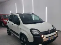 Usata Fiat Panda Cross Cross 69 CV (50 kW) 2020 Bianco Utilitaria