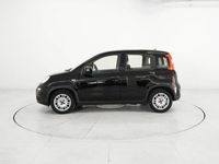 usata Fiat Panda 1.0 FireFly Hybrid