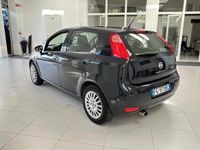 usata Fiat Punto 1.2 8V 5 porte Street