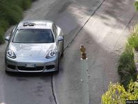 Usata Porsche Panamera Platinum Edition 250 CV (183 kW) 2013 Utilitaria