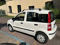 Usata Fiat Panda Dynamic 75 CV (55 kW) 2012 Bianco Utilitaria