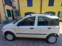 Usata Fiat Panda Dynamic 60 CV (44 kW) 2009 Bianco Utilitaria