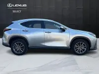 Usata Lexus NX450h+ 309 CV (227 kW) 2022 Other SUV
