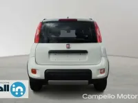 Usata Fiat Panda 4x4 Wild 84 CV (61 kW) 2021 Bianco Utilitaria