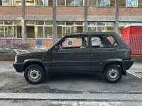 Usata Fiat Panda 4x4 Trekking 54 CV (39 kW) 1996 Grigio Utilitaria
