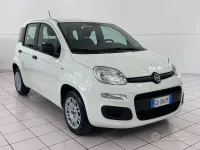 Usata Fiat Panda Easy 69 CV (50 kW) 2020 Bianco Utilitaria