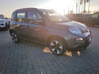 usata Fiat Panda Cross 1.0 FireFly S&S Hybrid City del 2022 usata a Alessandria