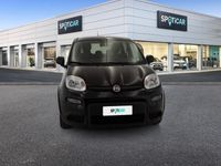 usata Fiat Panda 1.0 FireFly 70cv S&S Hybrid City Life