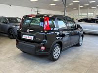 Usata Fiat Panda S 70 CV (51 kW) 2024 Nero Utilitaria