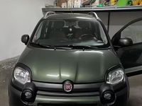 Usata Fiat Panda Cross Cross 69 CV (50 kW) 2019 Verde Utilitaria