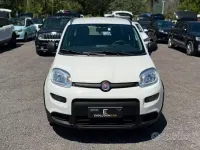 Usata Fiat Panda 70 CV (51 kW) 2024 Bianco Utilitaria