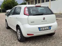 Usata Fiat Punto Evo Lounge 77 CV (56 kW) 2014 Bianco Utilitaria