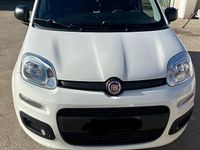 Usata Fiat Panda 70 CV (51 kW) 2021 Bianco Berlina