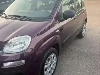 Usata Fiat Panda Easy 85 CV (62 kW) 2014 Utilitaria